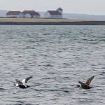 2012-04-15-reykjavik-065.jpg
