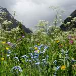 2014-06-09-gasterntal-265.jpg